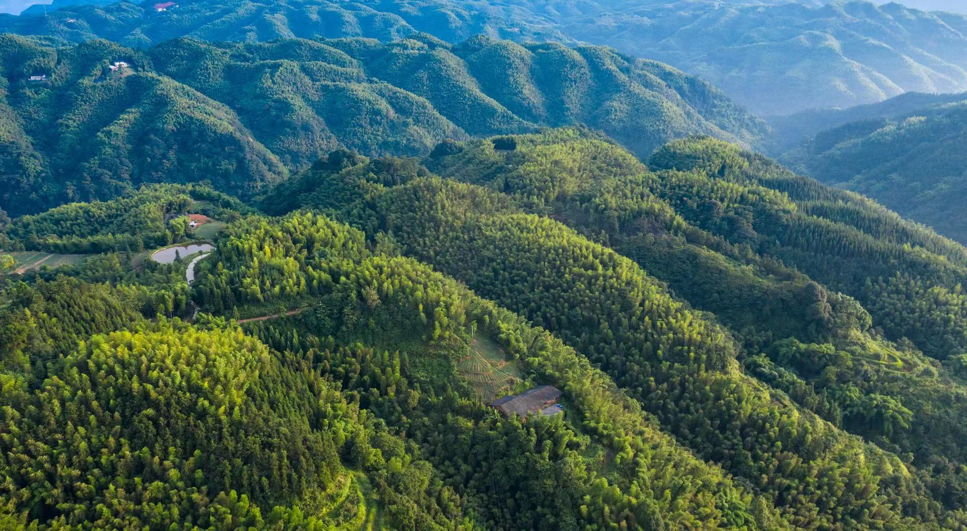 首页>新闻中心>云溪骄傲>赵坪村地处纳溪白节镇岩区,是泸州市"乡村