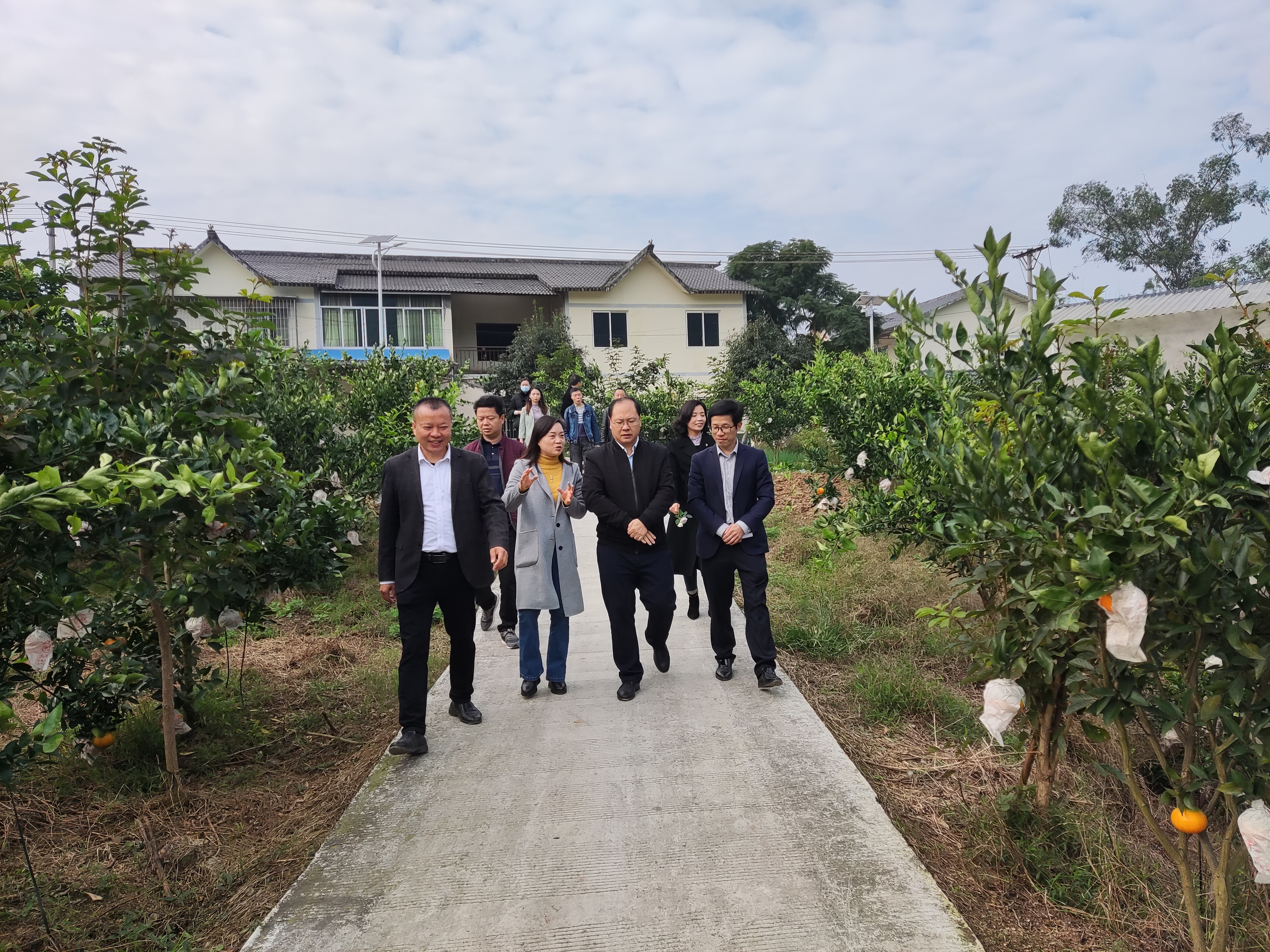 首页>新闻中心>基层传真>调研组一行先后到新乐镇大河村和天仙镇双新